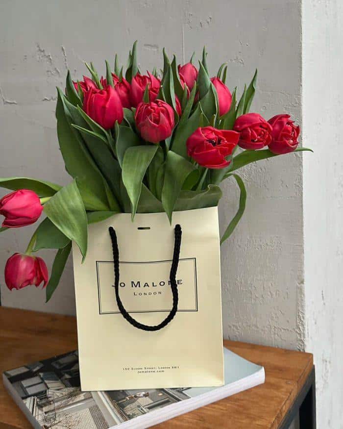 19 красных тюльпанов 2900