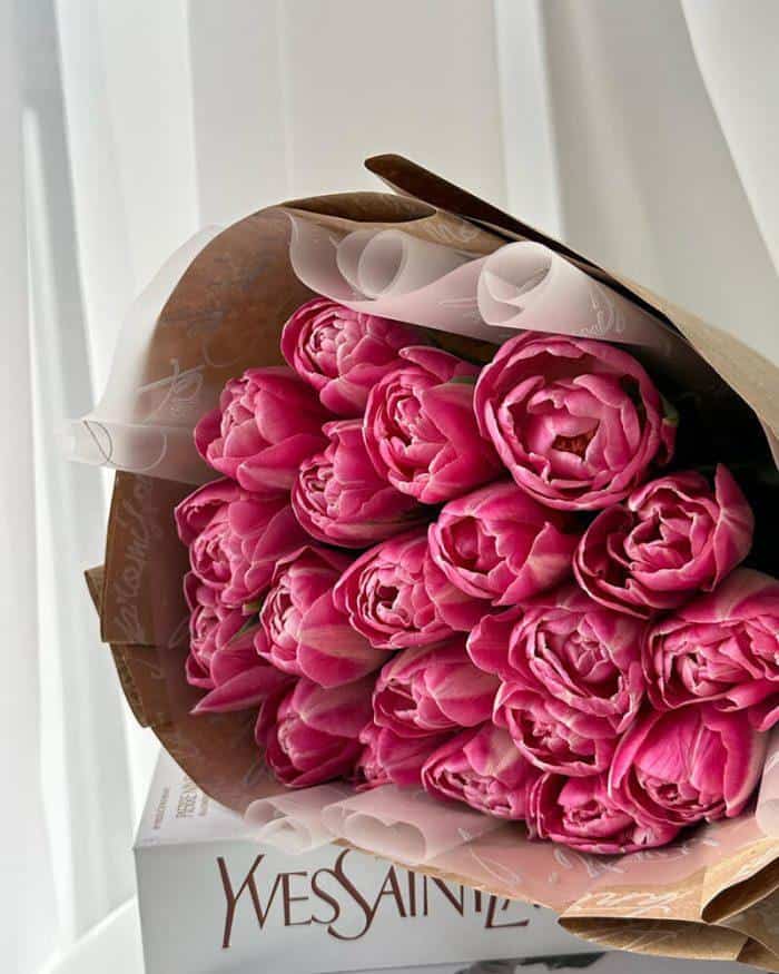 19 тюльпанов 4180