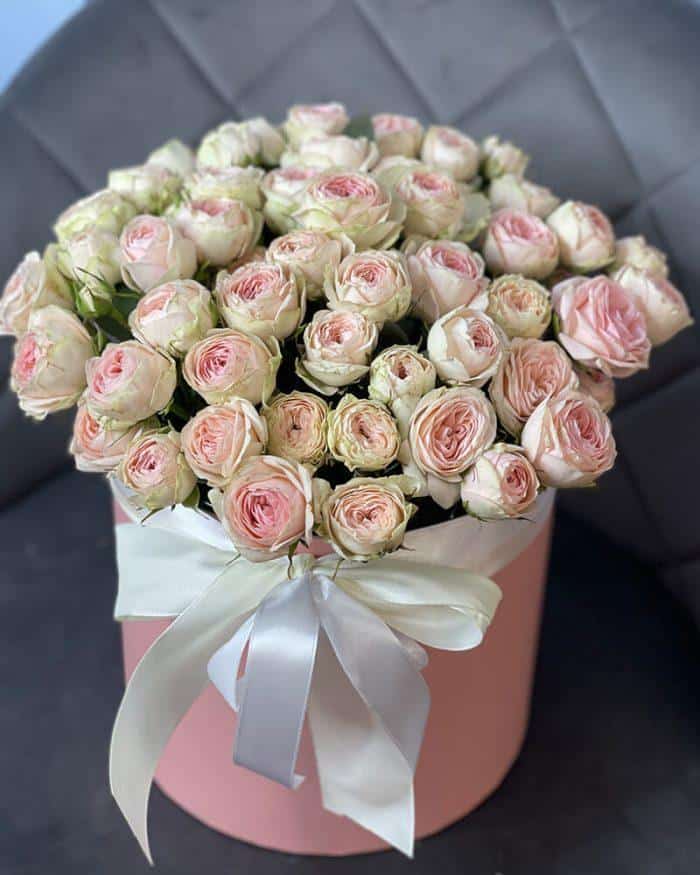 коробка с пионояидными розами 7000₽