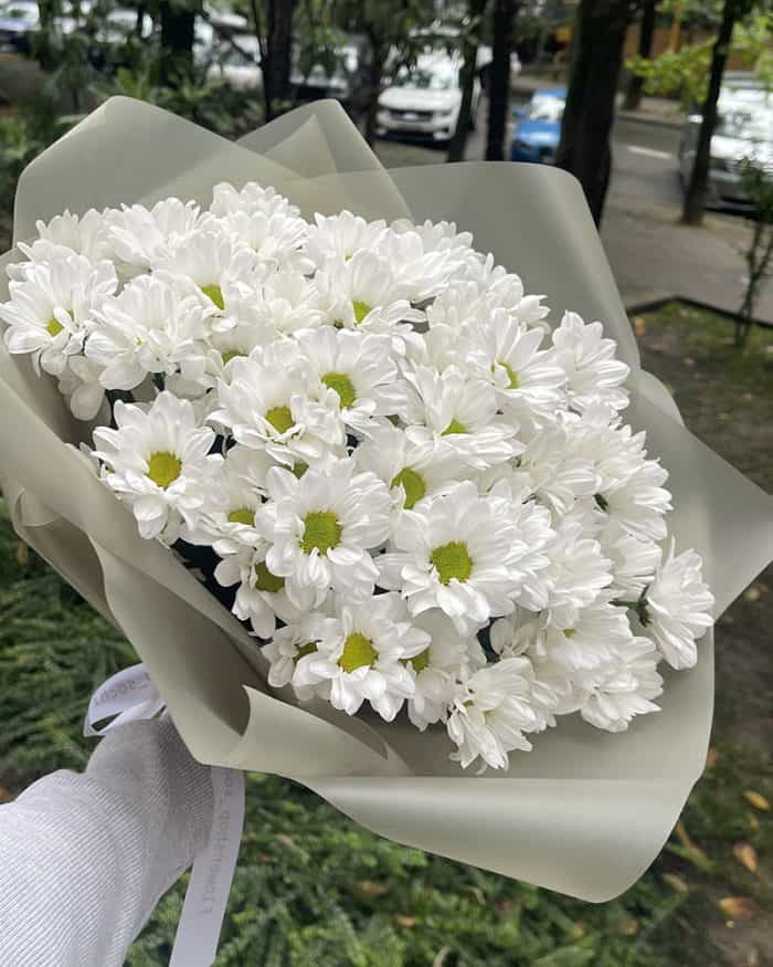9 хризантем 2900₽